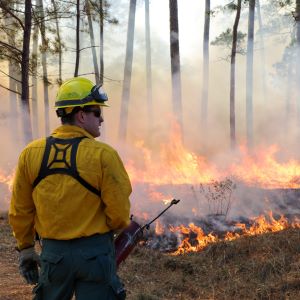 Texas A&M Forest Service is now accepting grant applications for the State Fire Assistance for Mitigation - Plains Prescribed Fire Grant through August 15th, 2023.