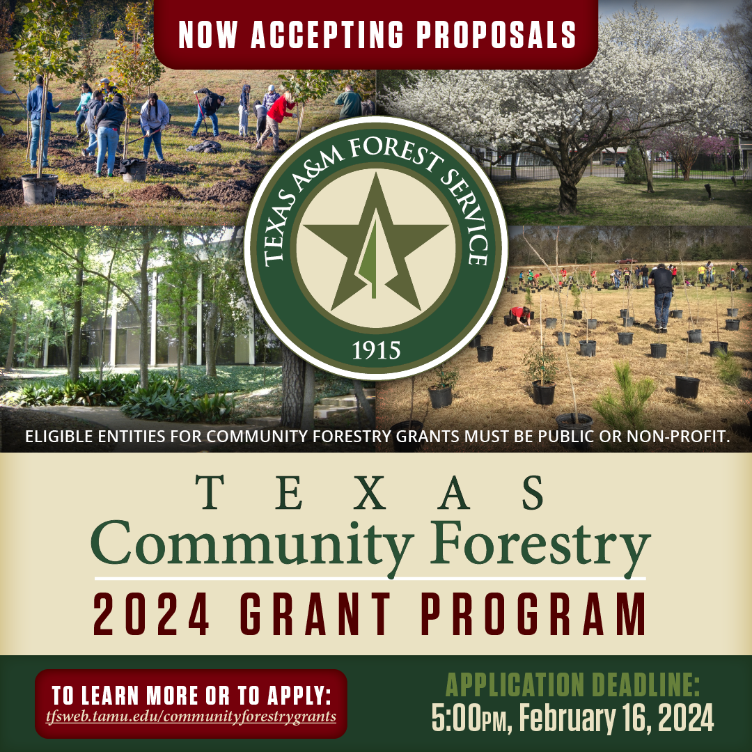 <p title="temporary paragraph, click here to add a new paragraph"><br />The submission window for the Texas A&M Forest Service Community Forestry Grant Program is now open and will close February 16, 2024.</p>