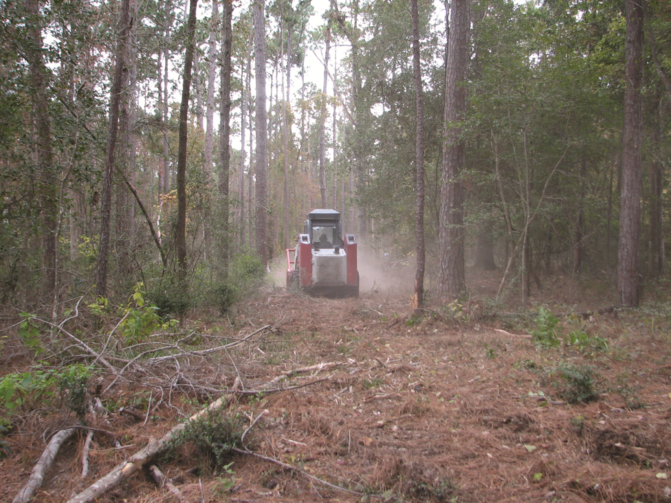 Mulching machine creating fuel break in the forest