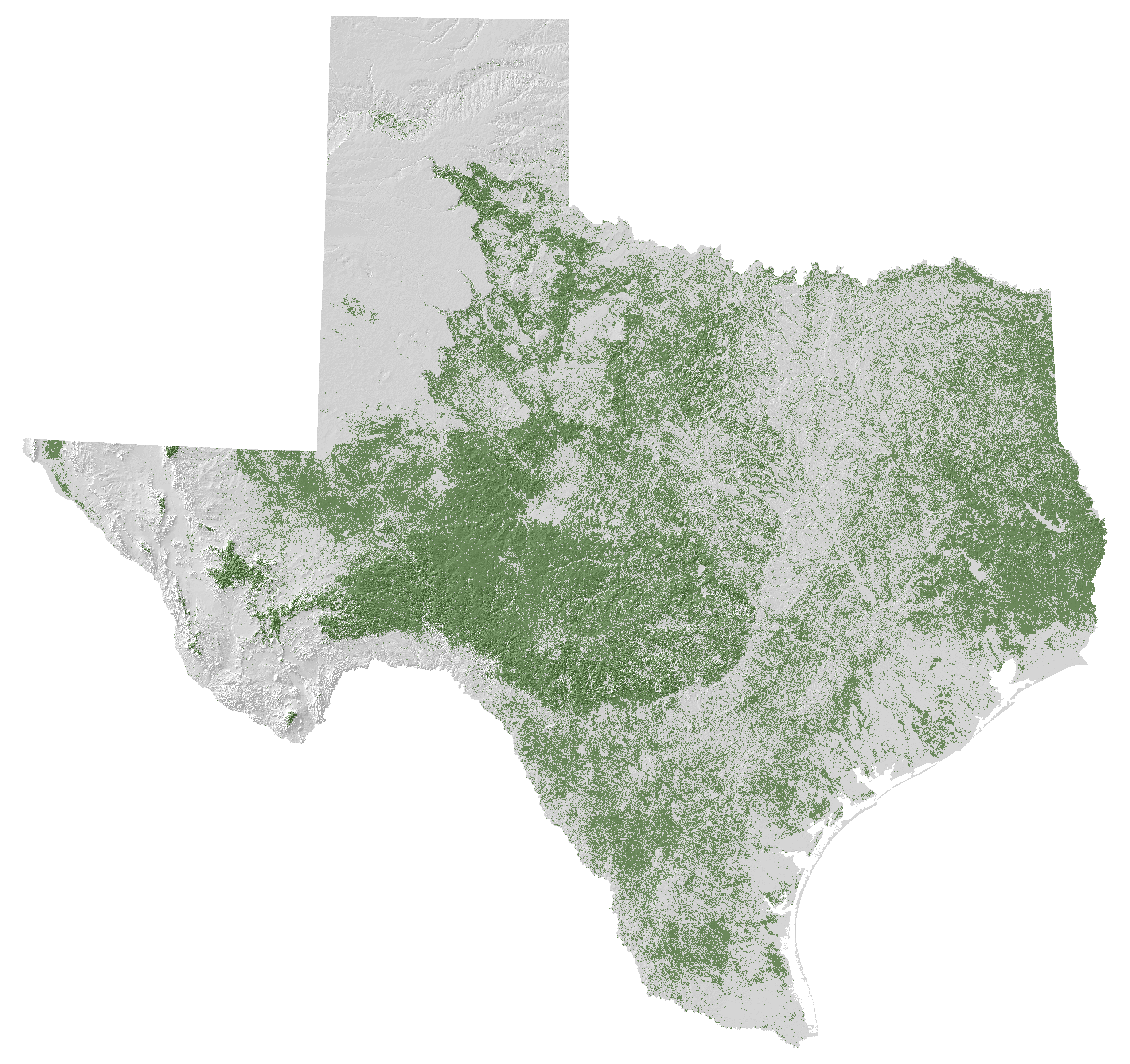 Forests of Texas